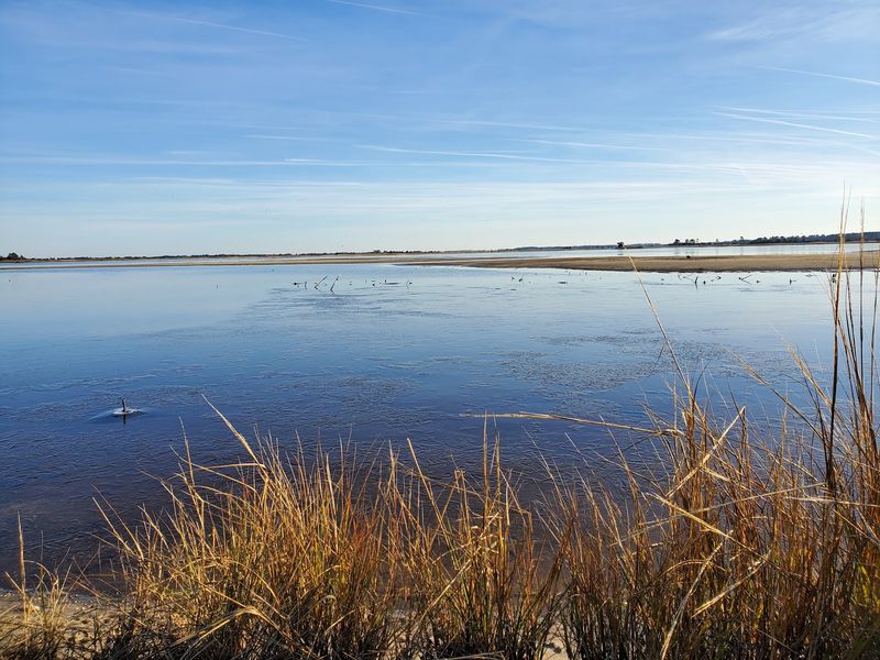 Where Exactly This Refuge Sits on the Delaware Coast Where Exactly This Refuge Sits on the Delaware Coast