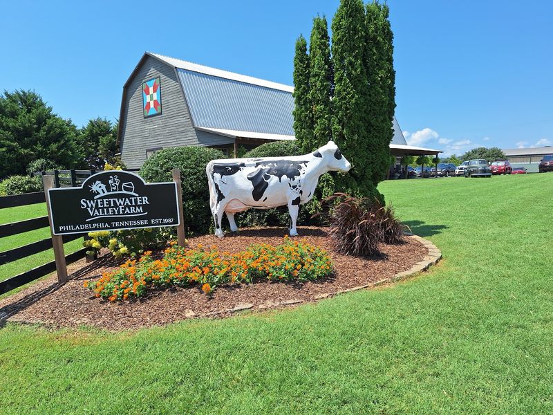 Where Green Hills Hide a Cheese Lover's Haven