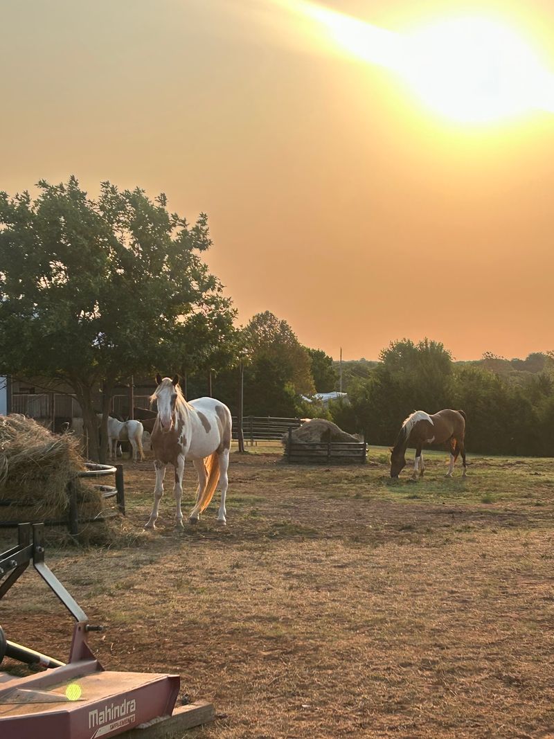 Where Singing Grace Ranch Sits and What It Is Where Singing Grace Ranch Sits and What It Is