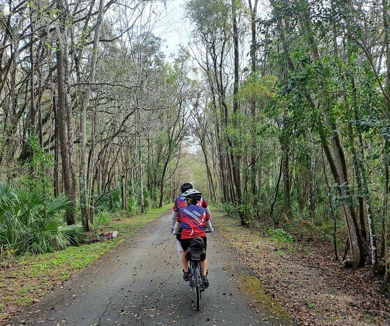 Where The Trail Meets The Woods Near Brooksville Where The Trail Meets The Woods Near Brooksville