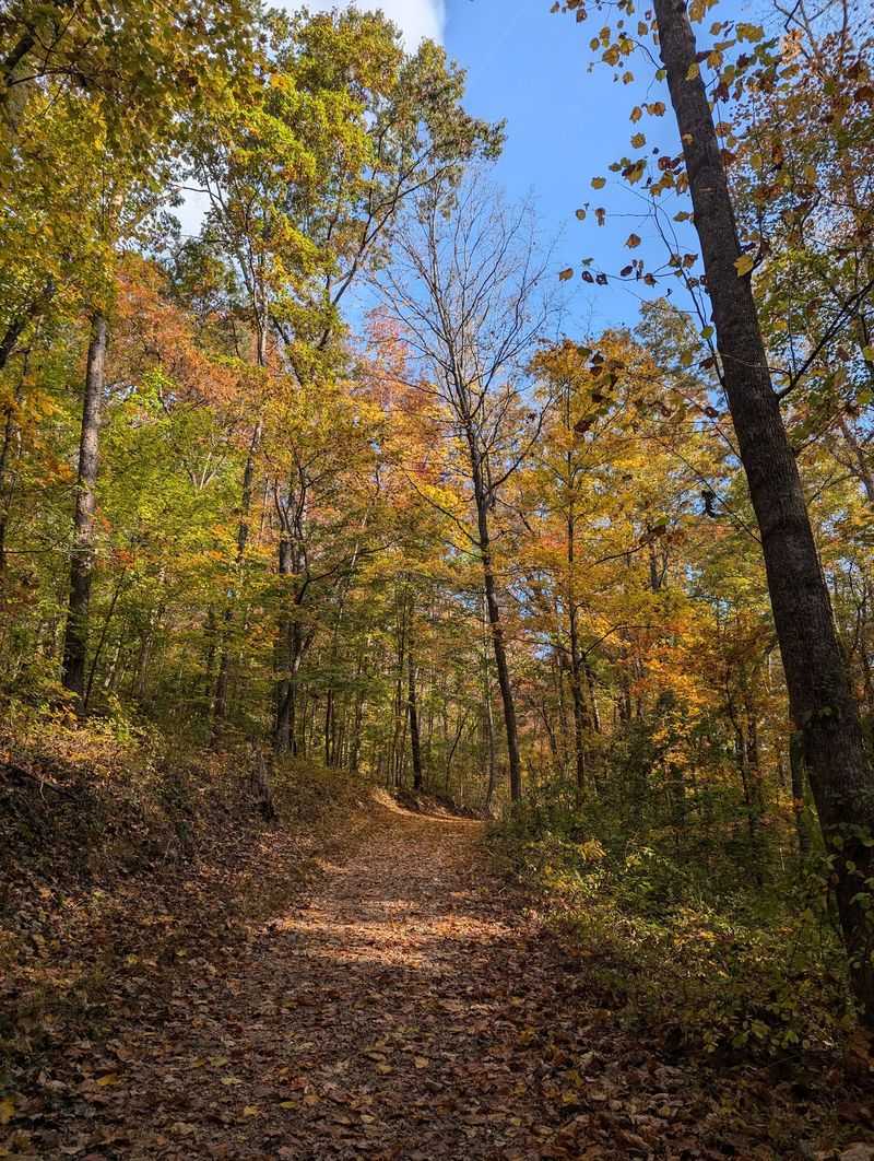 Where The Woods Begin Just South Of Oak Ridge Where The Woods Begin Just South Of Oak Ridge