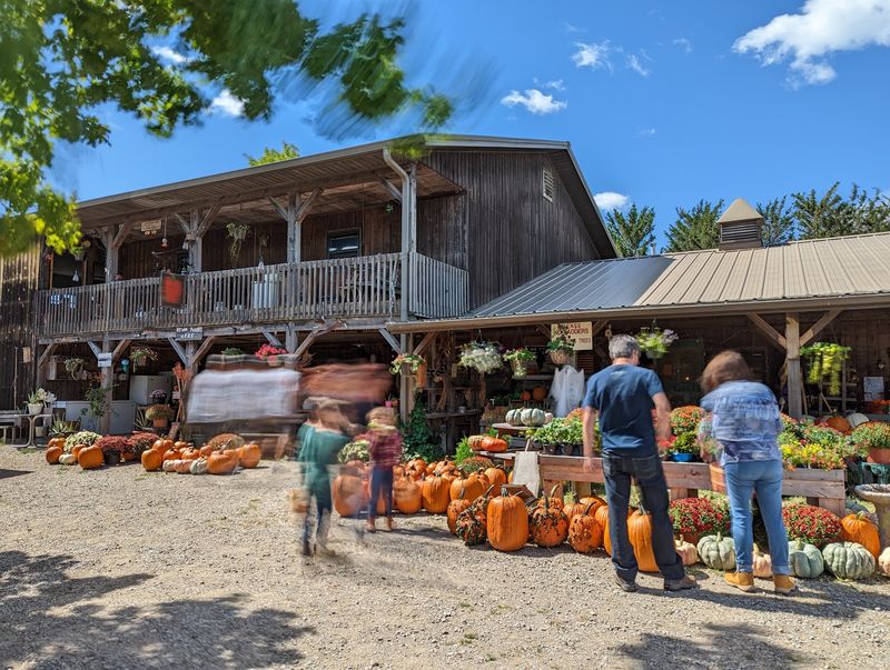 Where To Find This Beloved Harvest Stop Where To Find This Beloved Harvest Stop