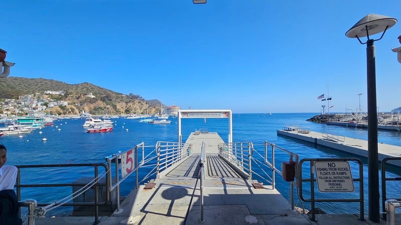 Where the Boat Docks in Avalon