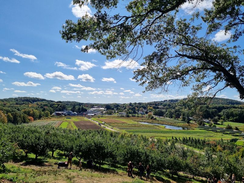 Where the Orchard Sits in Amesbury Where the Orchard Sits in Amesbury