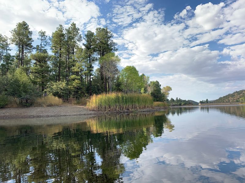 Where the Pines Meet the Water Where the Pines Meet the Water