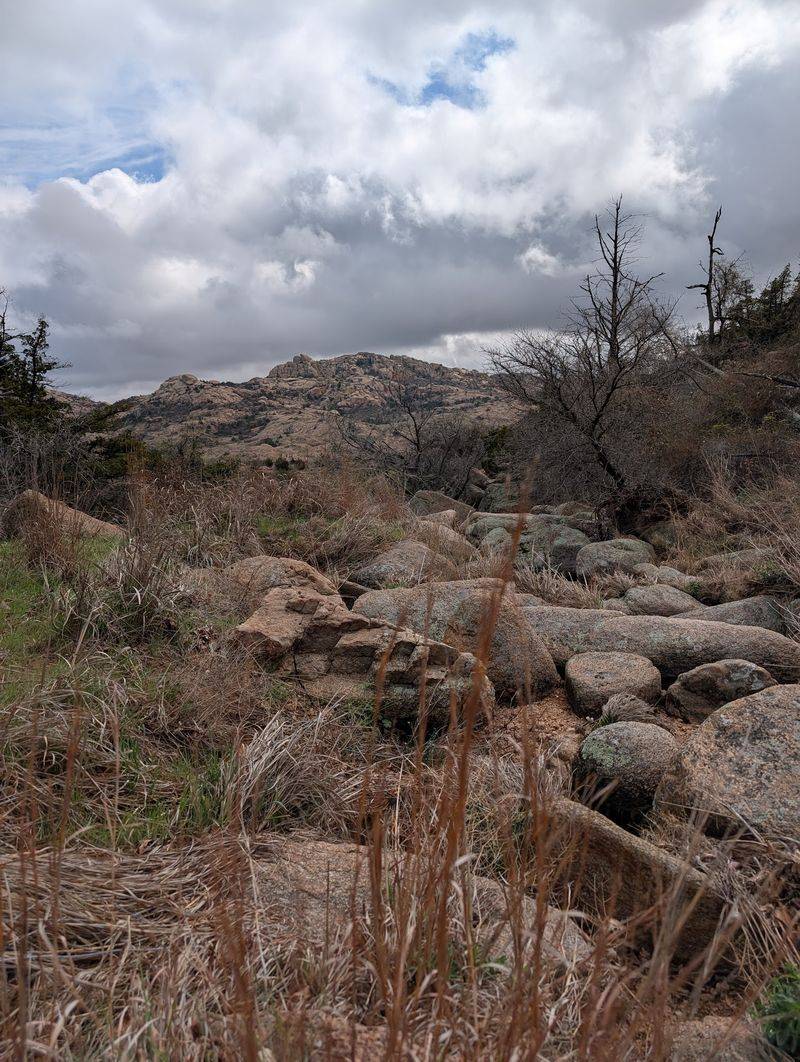 Where the Refuge Sits and What It Actually Is Where the Refuge Sits and What It Actually Is