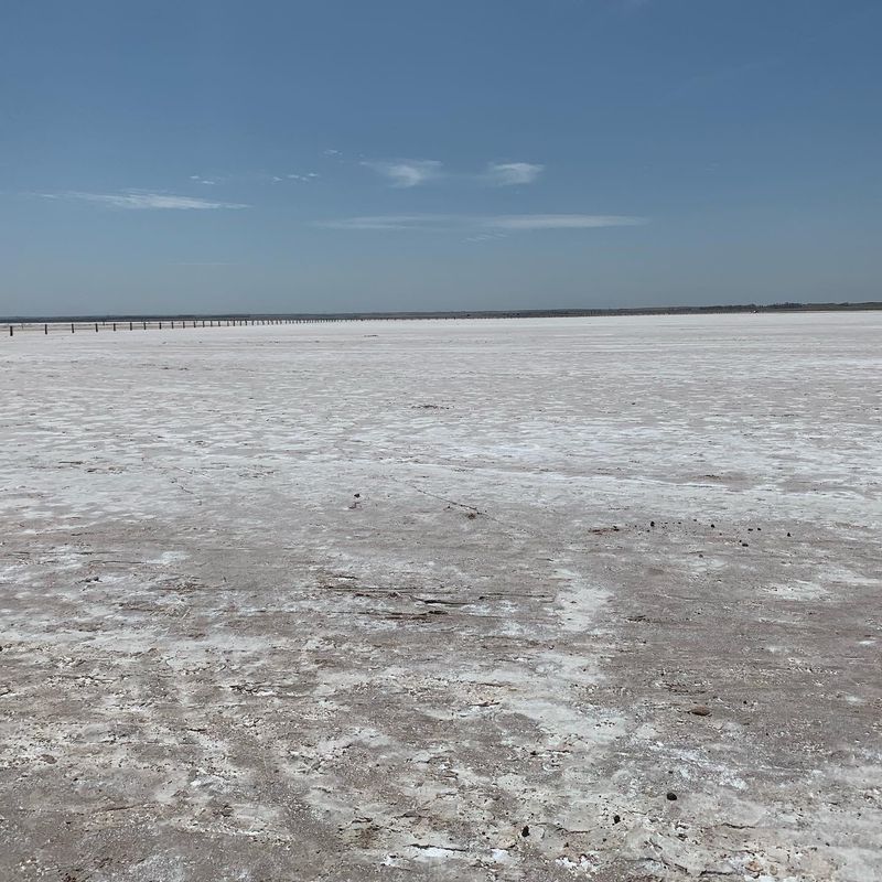 Where the Salt Flat Sits and What Makes It Rare Where the Salt Flat Sits and What Makes It Rare