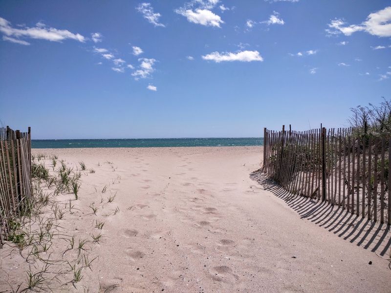 Where the Sand Meets Succotash Road Where the Sand Meets Succotash Road