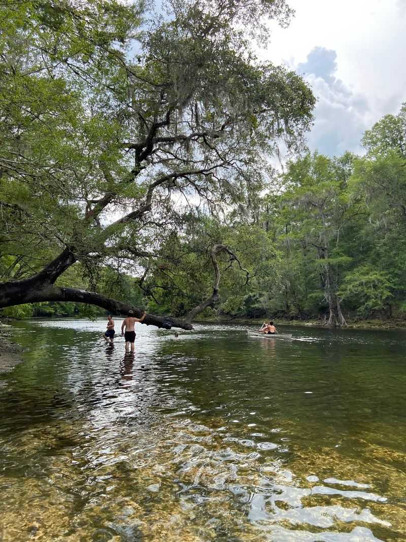 Where the Santa Fe River Meets Ancient Limestone Where the Santa Fe River Meets Ancient Limestone