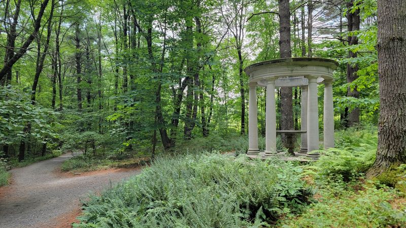 Where the Wooded Path Begins