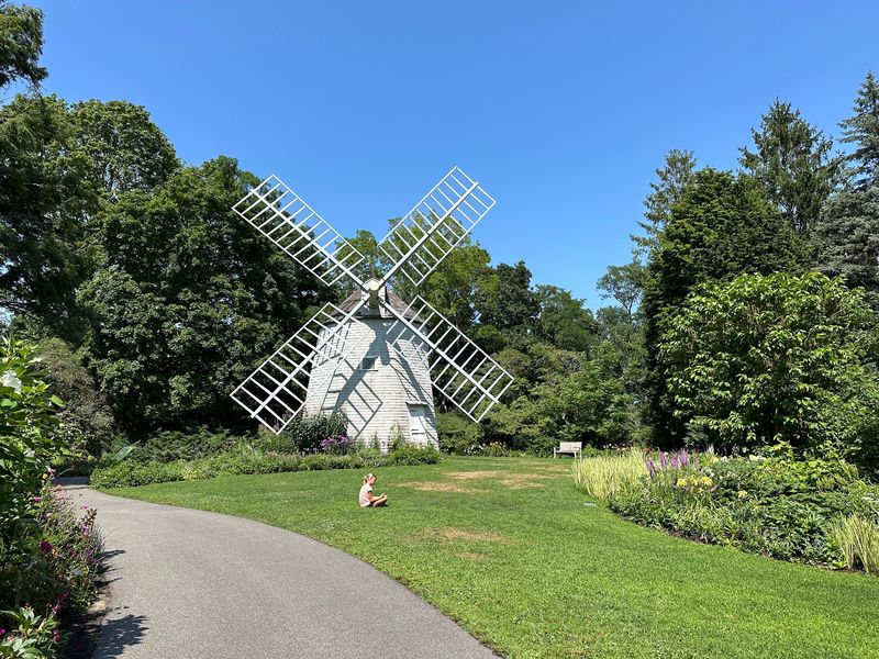 Where to Find This Cape Cod Treasure Where to Find This Cape Cod Treasure