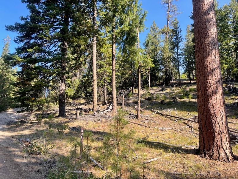 White Fir Spring, Oregon, Prineville