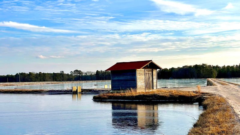 Whitesbog Historic Village, Browns Mills, NJ