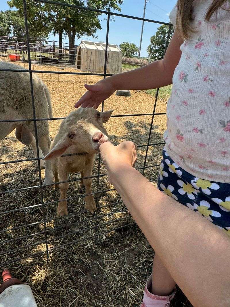 Who Enjoys Visiting Most and Why the Farm Suits Different Travelers Who Enjoys Visiting Most and Why the Farm Suits Different Travelers