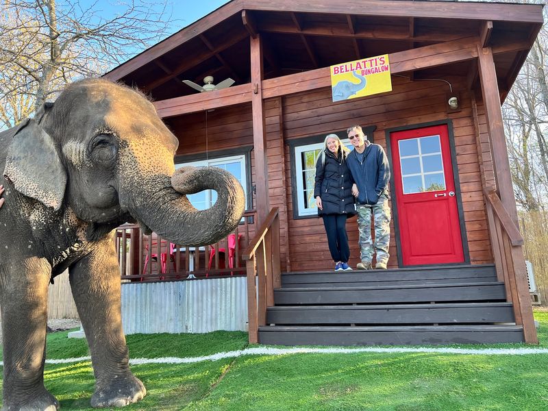 Who Fits Best at This Sanctuary Who Fits Best at This Sanctuary