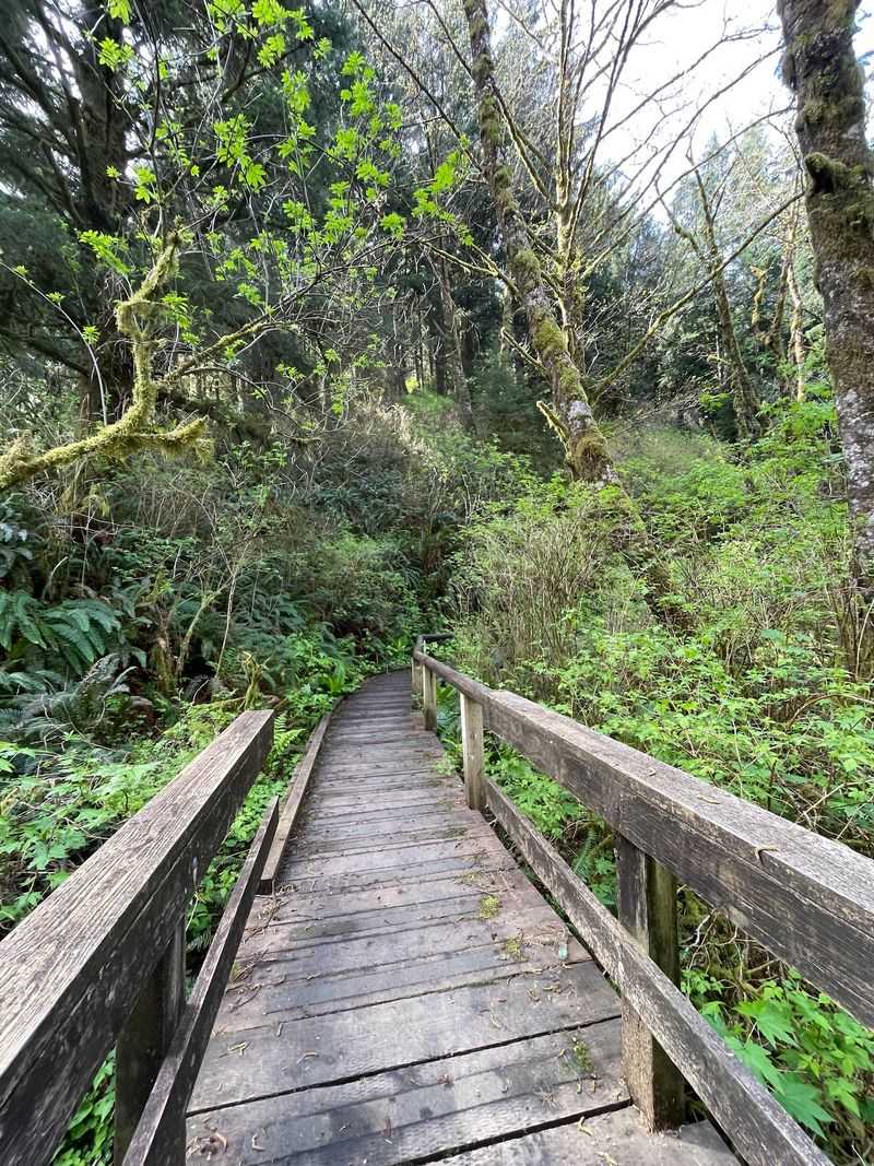 Who This Hike Is Really For Who This Hike Is Really For