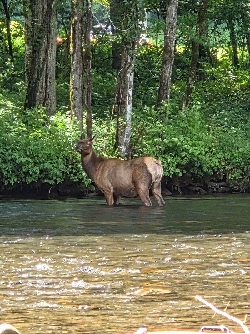 Who This River Trip Suits Best Who This River Trip Suits Best