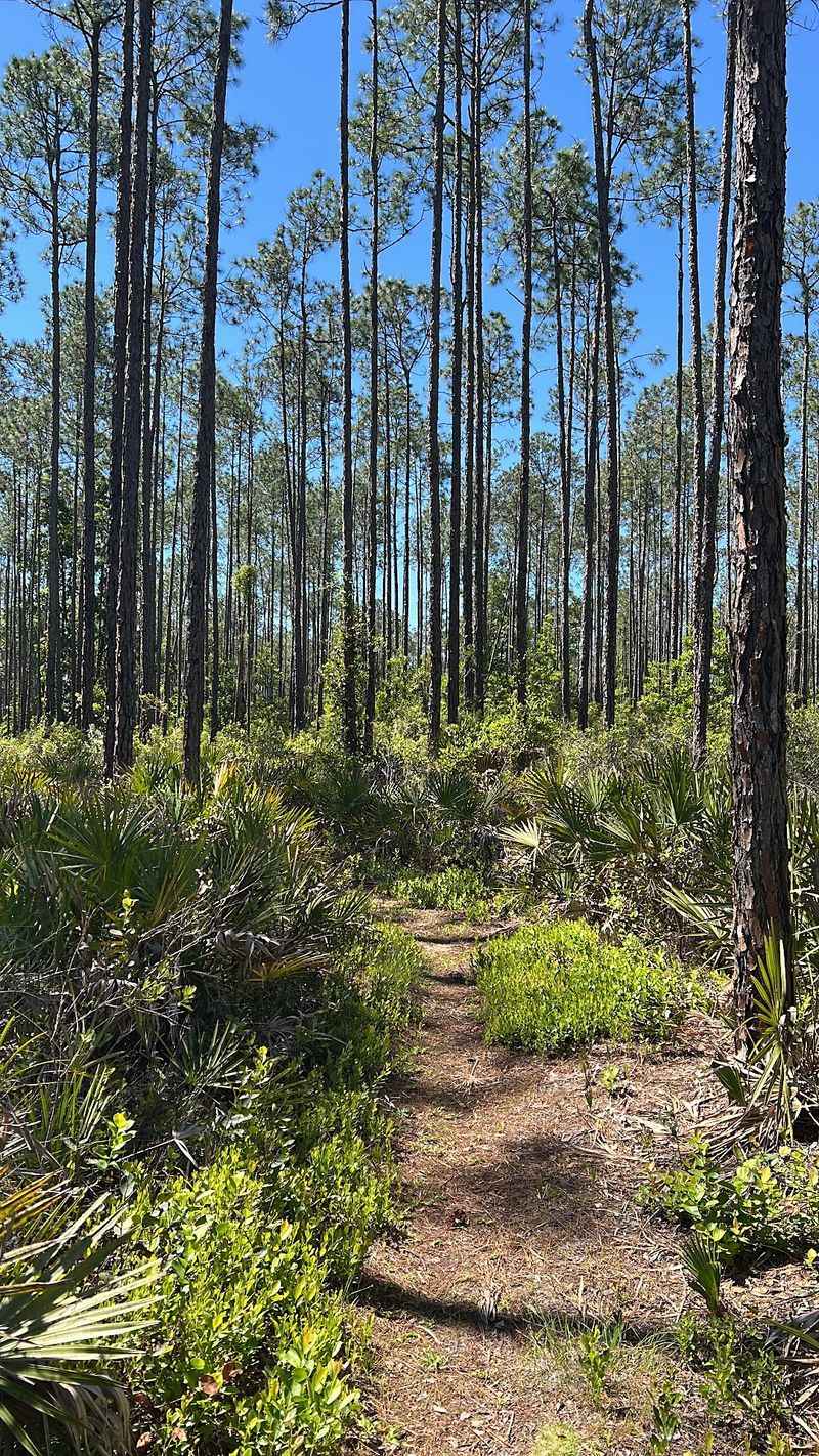 Who Will Love This Hike