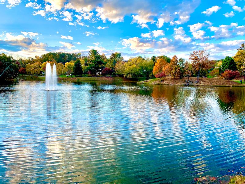 Who Will Love This Town Most