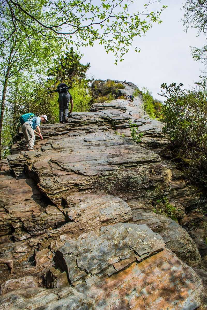 Who Will Love This Trail Most Who Will Love This Trail Most