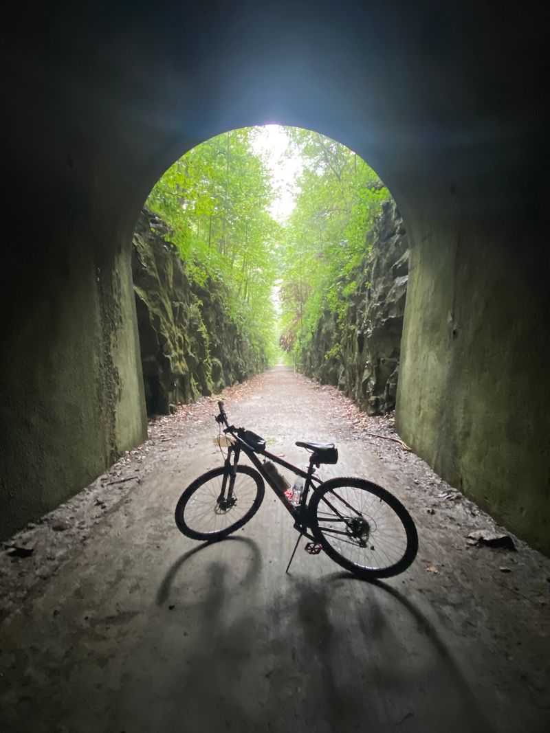Who Will Love This Trail Most Who Will Love This Trail Most