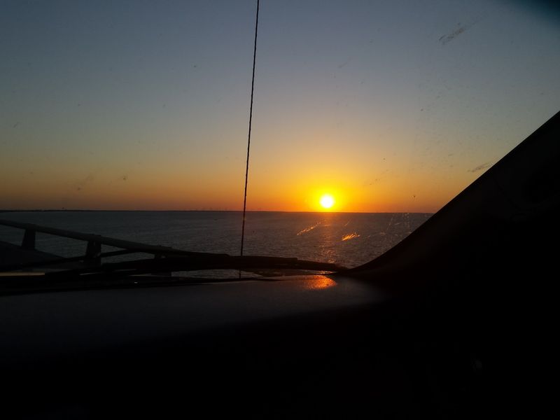 Who Will Love the Drive Most Who Will Love the Drive Most
