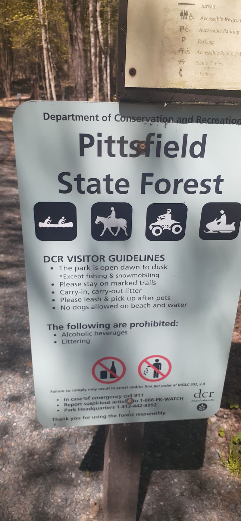Who the Forest Suits Best Who the Forest Suits Best