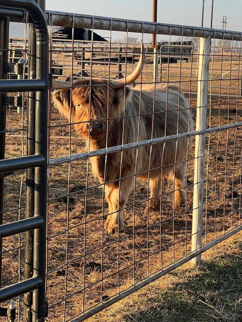 Why Clayton Corner Farm Is Worth the Detour Why Clayton Corner Farm Is Worth the Detour
