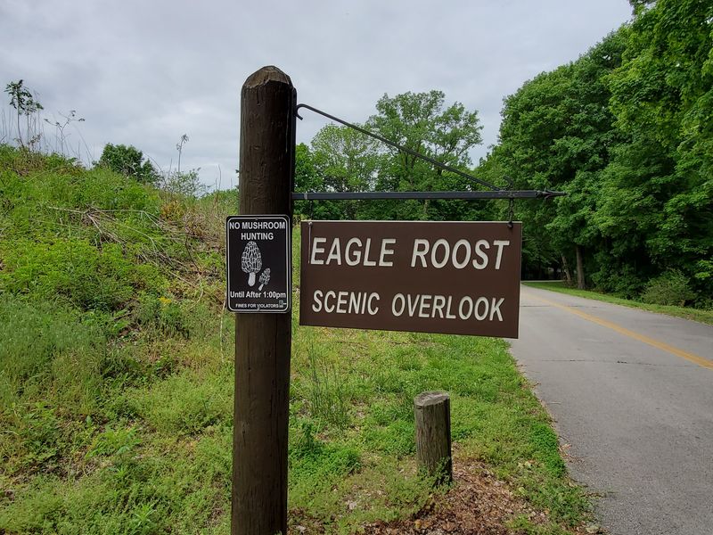 Why Eagles Roost Is Worth the Detour