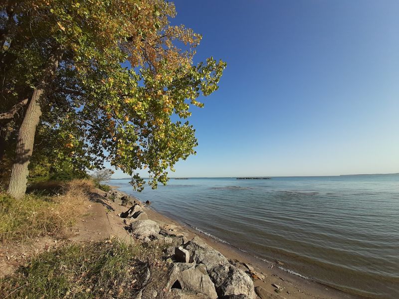Why East Harbor Earns Its Loyal Following Year After Year Why East Harbor Earns Its Loyal Following Year After Year