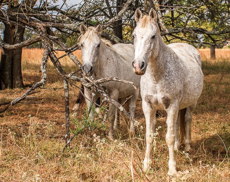 Why Mowdy Ranch Stays With You Long After You Leave Why Mowdy Ranch Stays With You Long After You Leave