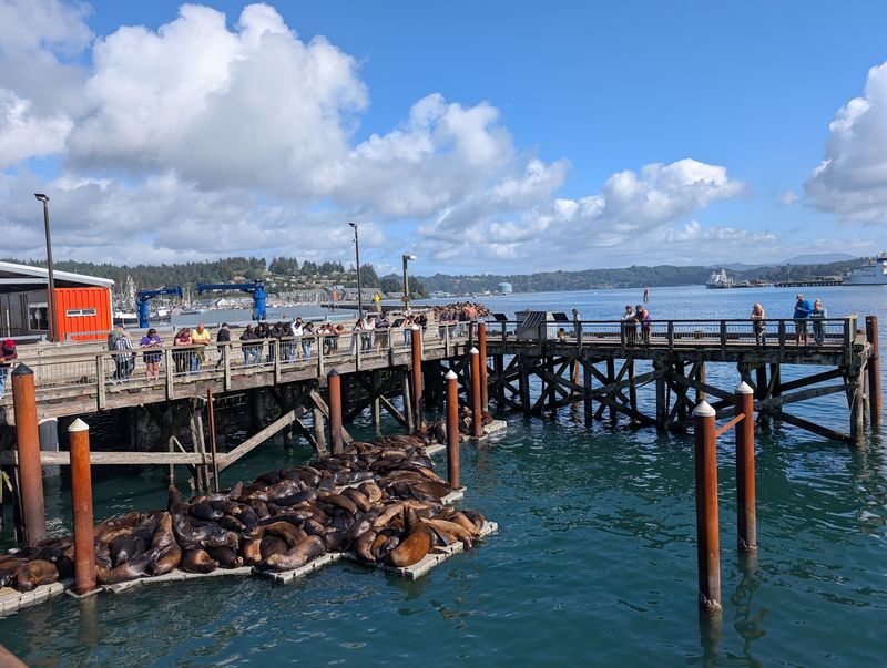 Why This Bayfront Gem Earns a Spot on Your Coast Trip Why This Bayfront Gem Earns a Spot on Your Coast Trip