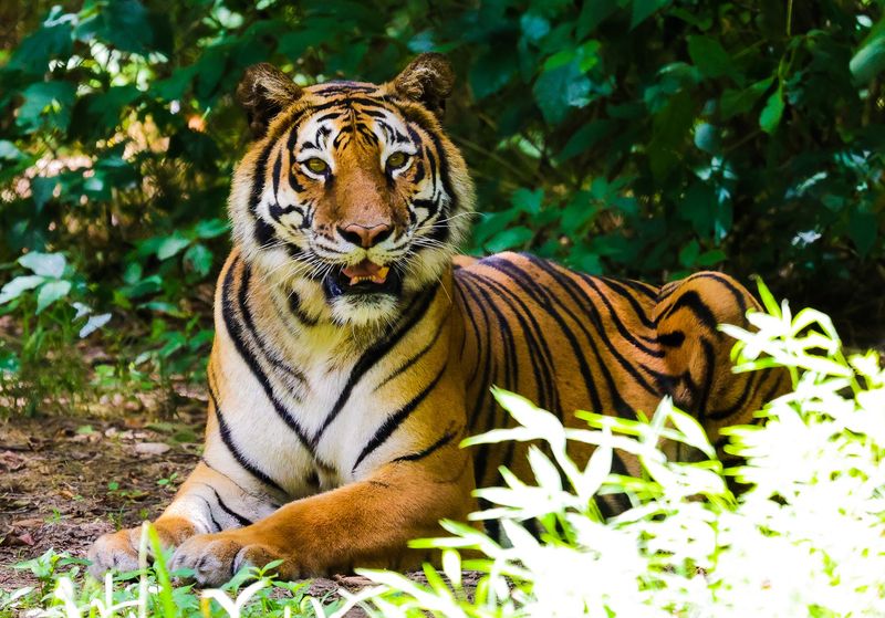 Why This Day Trip Earns Its Spot on Your List Why This Day Trip Earns Its Spot on Your List