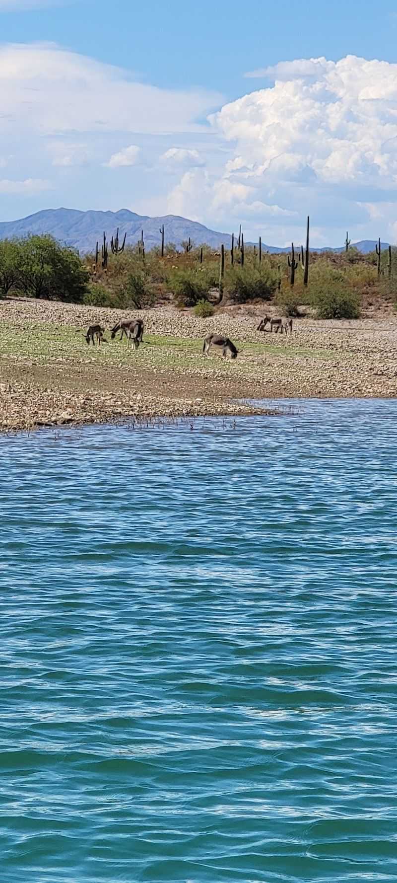 Why This Desert Oasis Sticks With You Why This Desert Oasis Sticks With You