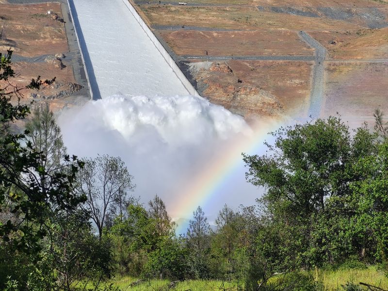 Why This Engineered Wonder Feels Like Nature's Own Why This Engineered Wonder Feels Like Nature's Own