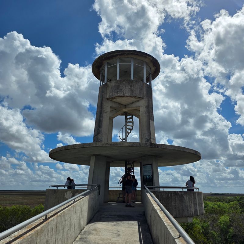 Why This Everglades Escape Stays With You Why This Everglades Escape Stays With You