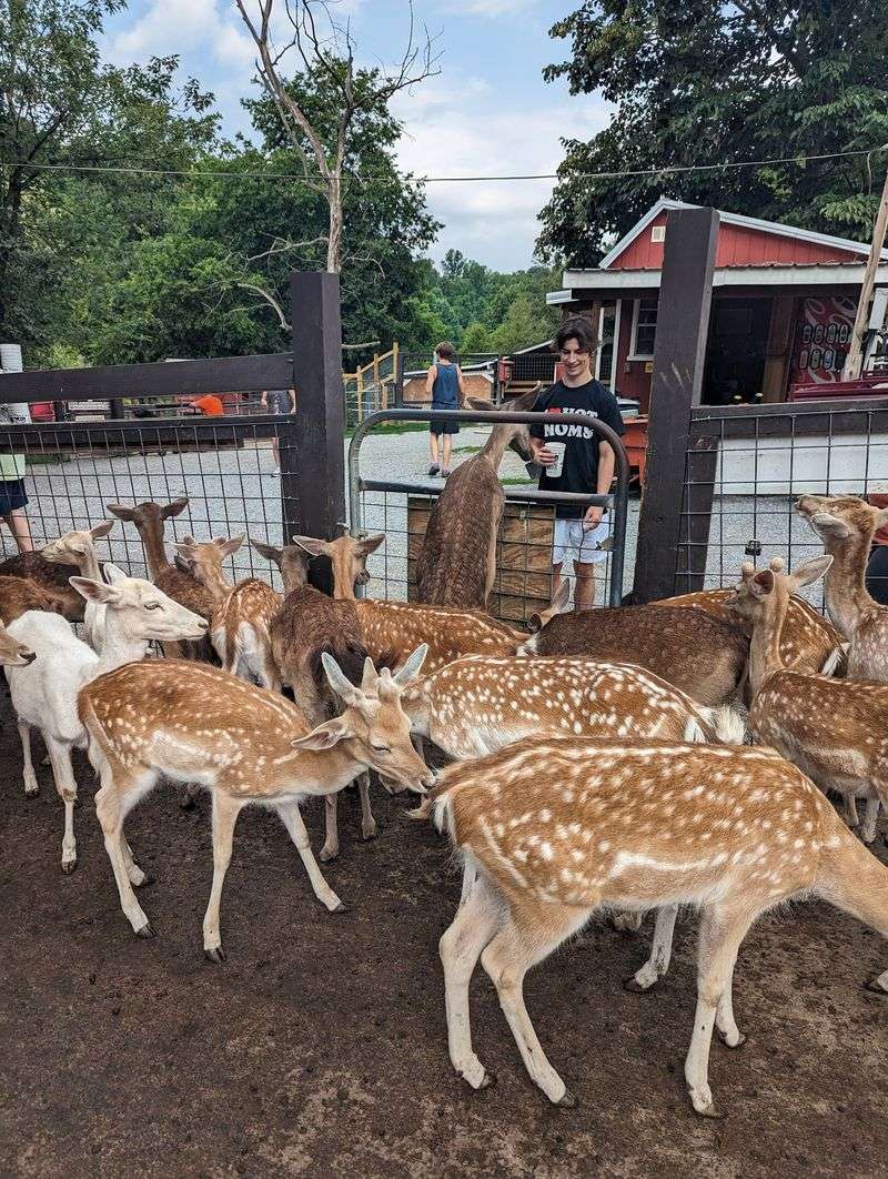 Why This Farm Earns a Spot on Your List Why This Farm Earns a Spot on Your List