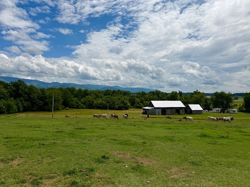 Why This Farm Stop Earns a Return Trip Why This Farm Stop Earns a Return Trip