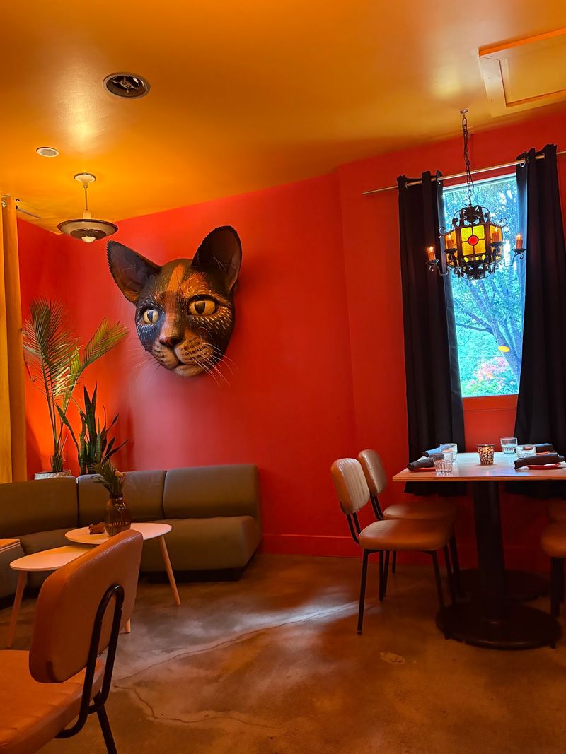 Why This Feline-Themed Gem Belongs on Your List