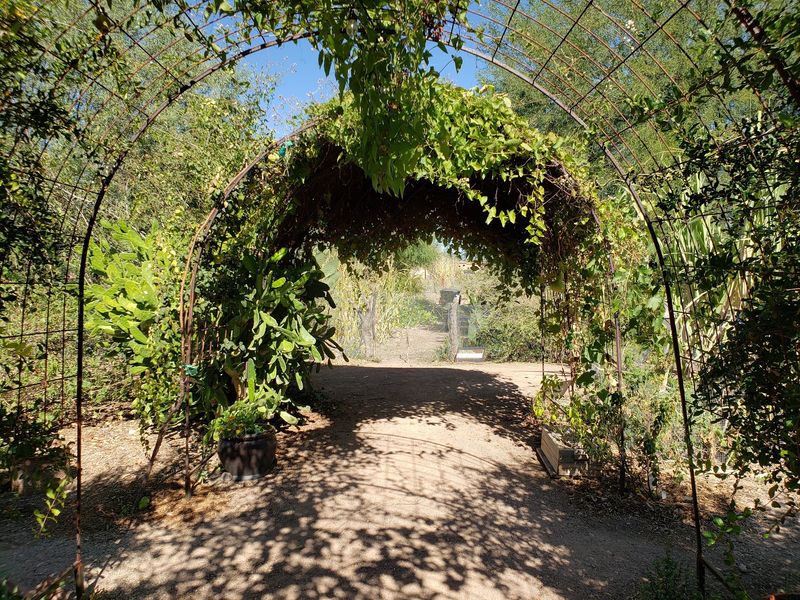 Why This Garden Deserves a Morning Why This Garden Deserves a Morning