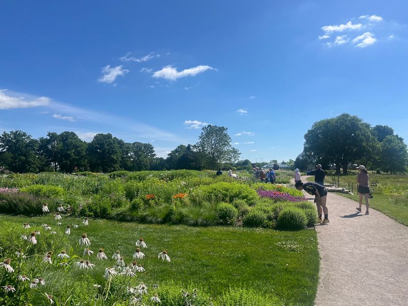 Why This Garden Matters Far Beyond Detroit Why This Garden Matters Far Beyond Detroit
