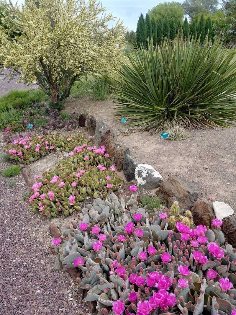 Why This Garden Stays With You Long After You Leave