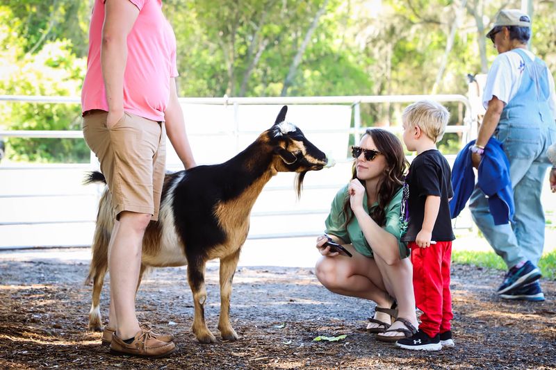 Why This Gentle Sanctuary Stays With You Why This Gentle Sanctuary Stays With You