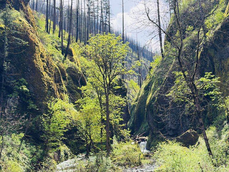 Why This Green Canyon Stays Worth the Trip Why This Green Canyon Stays Worth the Trip