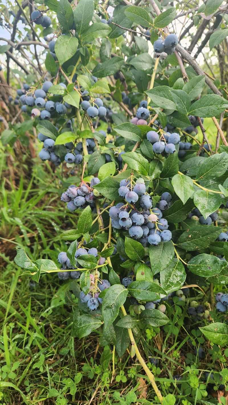 Why This Hidden Farm Earns a Spot on Your List Why This Hidden Farm Earns a Spot on Your List