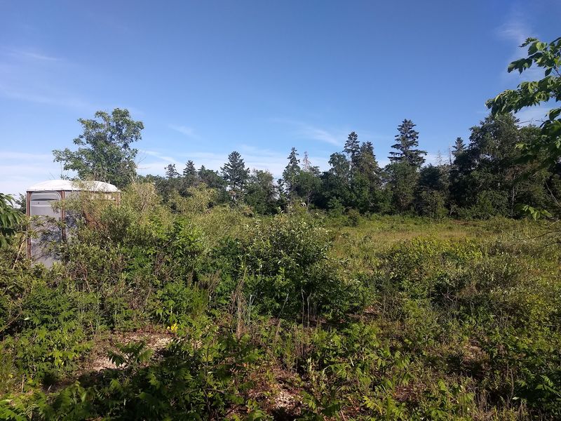 Why This Island Keeps Drawing People Back