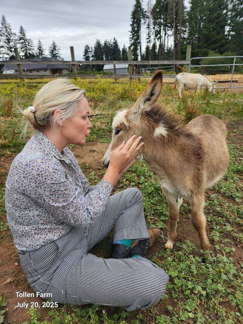 Why This Little Farm Is Worth Protecting