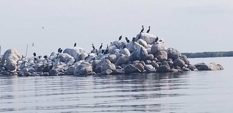 Why This Little Island Deserves More Attention Why This Little Island Deserves More Attention