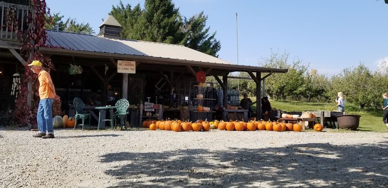Why This Orchard Earns A Yearly Return Why This Orchard Earns A Yearly Return