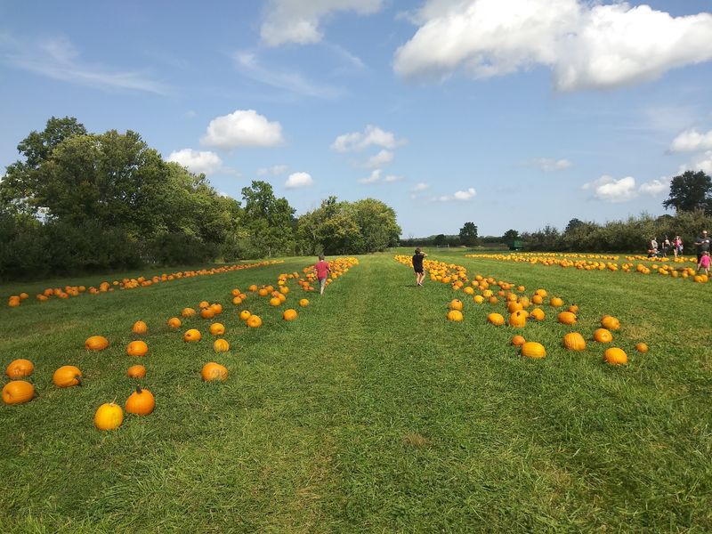 Why This Orchard Earns Its Place on the Ohio Fall List